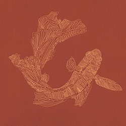 �~�S-ԭ��(chu��ng)���Ʊڮ� CG-NDC5020