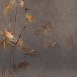 �~�}��-ԭ��(chu��ng)���Ʊڮ� CG-NDC5035