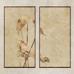 ������-ԭ��(chu��ng)���Ʊڮ� CG-NDC5077