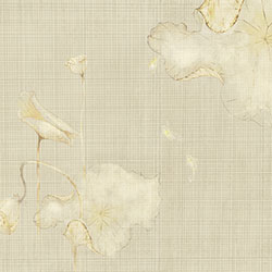 ���-ԭ�����Ʊڮ� CG-NDC5130