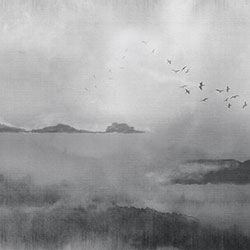 ɽˮ-ԭ�����Ʊڮ� CG-NDC5170