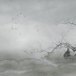 ÷-ԭ�����Ʊڮ� CG-NDC5199