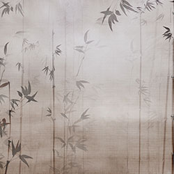 ����-ԭ�����Ʊڮ� CG-NDC5227