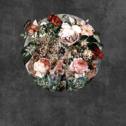 �A��-ԭ�����Ʊڮ� CG-NDC5234