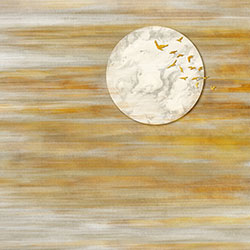 �L��-ԭ�����Ʊڮ� CG-NDC5237