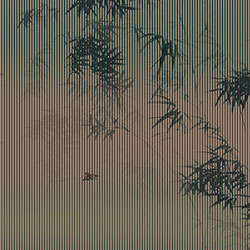 �[��-ԭ�����Ʊڮ� CG-NDC5247