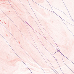 ����-ԭ��(chu��ng)���Ʊڮ� CG-NDC5007