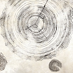 �f�����L-ԭ��(chu��ng)���Ʊڮ� CG-NDC5047