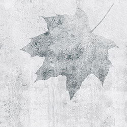 ���~-ԭ��(chu��ng)���Ʊڮ� CG-NDC5050