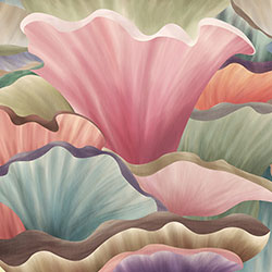 �˶���-ԭ��(chu��ng)���Ʊڮ� CG-NDC5092