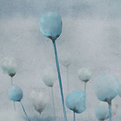 ����-ԭ��(chu��ng)���Ʊڮ� CG-NDC5175