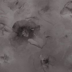 ��ͩ��-ԭ��(chu��ng)���Ʊڮ� CG-NDC5176