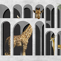 �����L��-ԭ�����Ʊڮ� CG-NDC5187