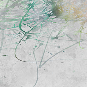 ����-ԭ��(chu��ng)���Ʊڮ� CG-NDC5190