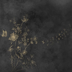 ��-ԭ�����Ʊڮ� CG-NDC5208