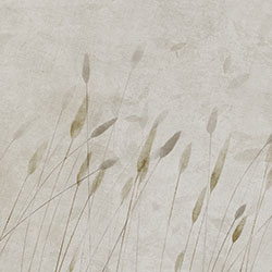 �uҷ-ԭ�����Ʊڮ� CG-NDC5210