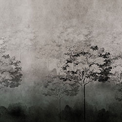 ����-ԭ�����Ʊڮ� CG-NDC5216