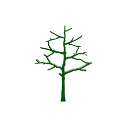 ����� CG-L009