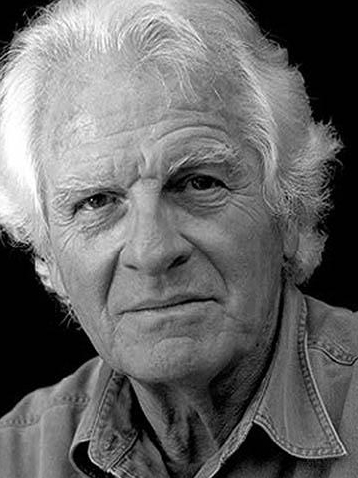 皮埃爾·波林(Pierre Paulin)