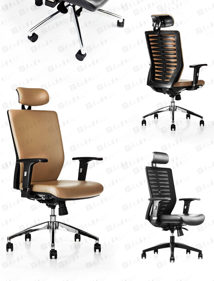 k|а|kҾ|Zebra|F(xin)wWOӋm͸Ƥ W T а h